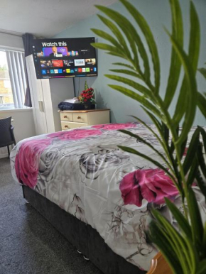 A cosy room with king sized bed